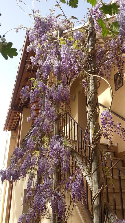 Agriturismo Casal Taccone Tarquinia Exterior foto